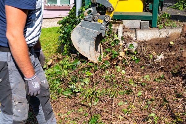 Hedge Removal Service in Niles