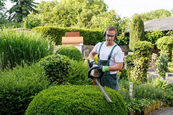 Shrubs Trimming in Niles