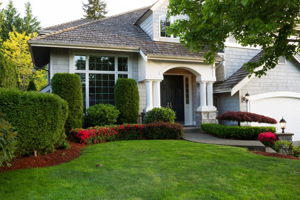 Ornamental Pruning