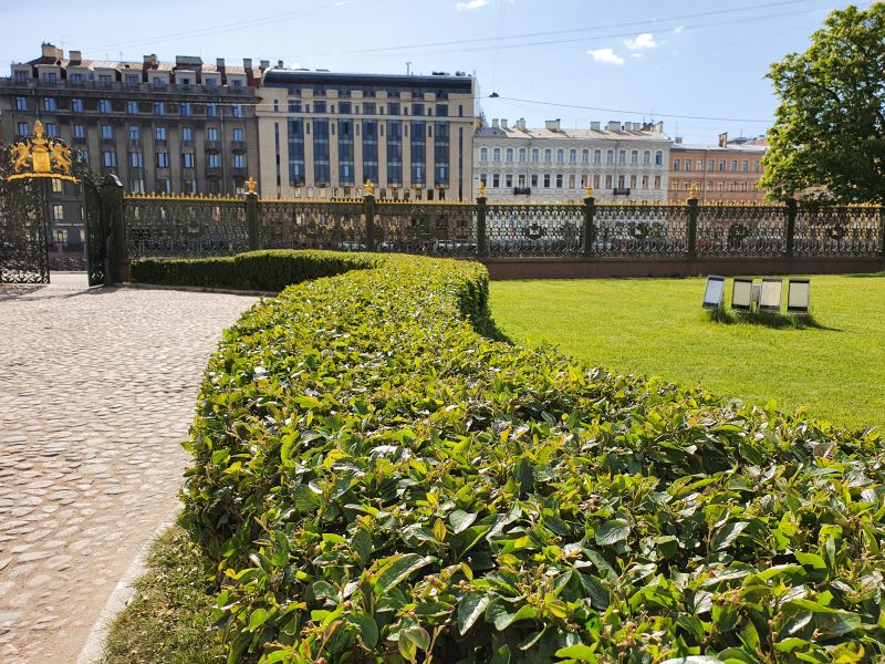 Shrubs with New Growth