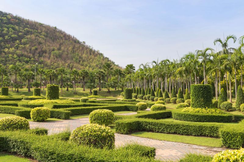 Garden Path Flanked by Shrubs