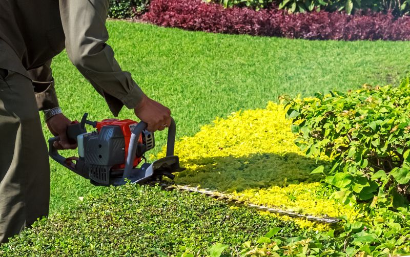 Professionally Trimmed Shrubs