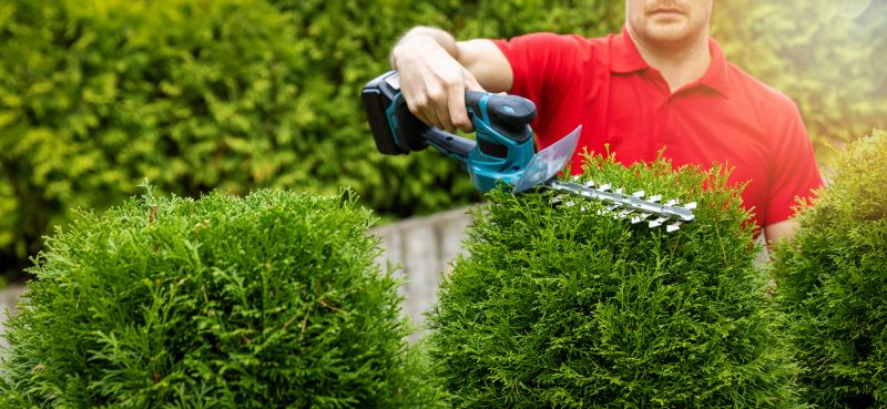 Professional Shrub Trimming Service